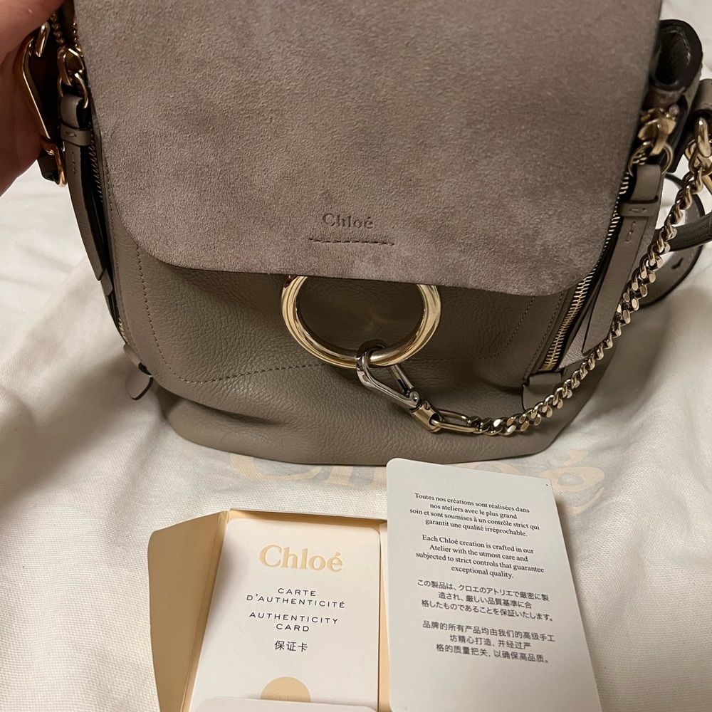 CHLOE Suede Calfskin Small Faye Backpack Motty Grey - Picture 6 of 7